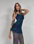 Honey' Blue Zebra